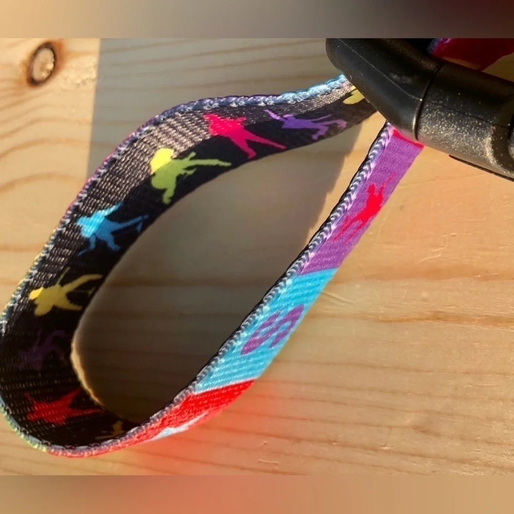🕸️Elvis Color Block adjustable Dog Collar Snap Buckle